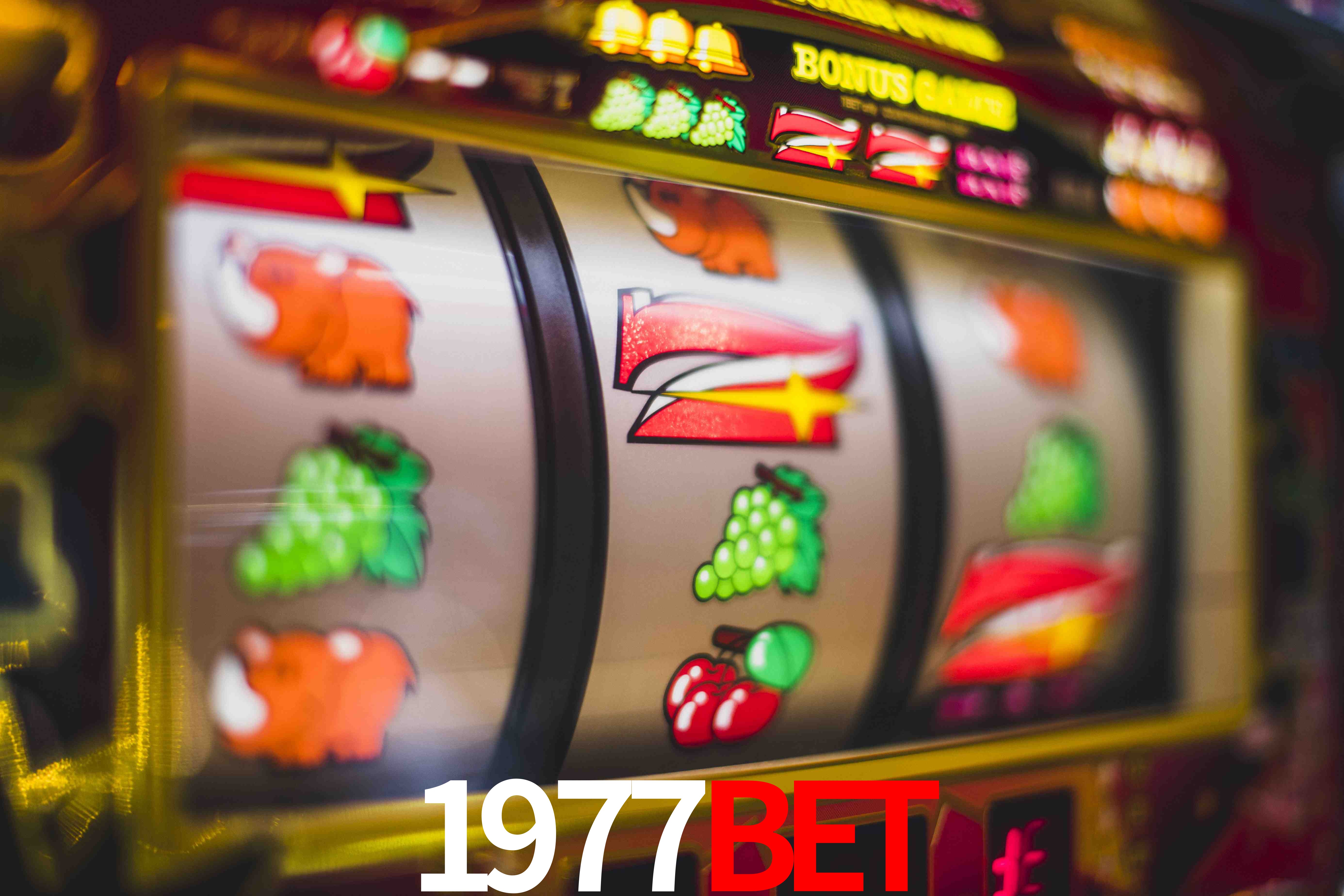 Experiência VIP 1977bet