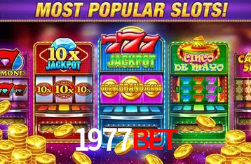 1977bet Curitiba - Live Status