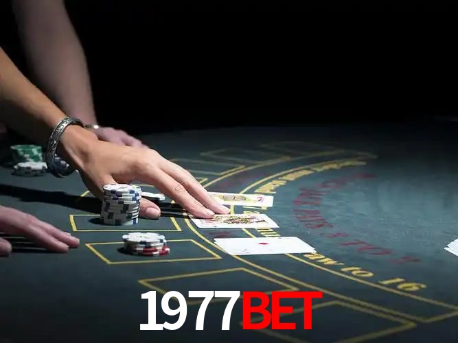 1977bet Salvador - Support